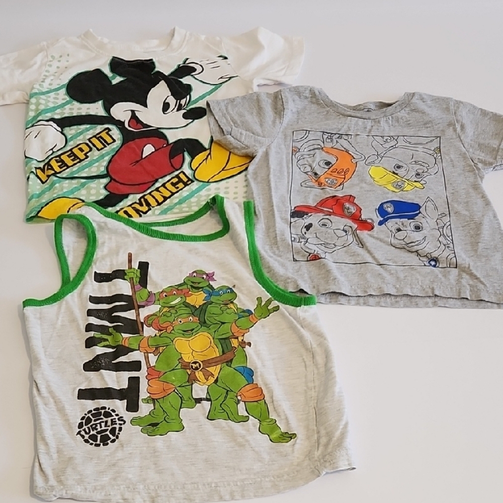 Mickey Mouse and Ninja Turtles Kids T-Shirts - White, Gray, Green